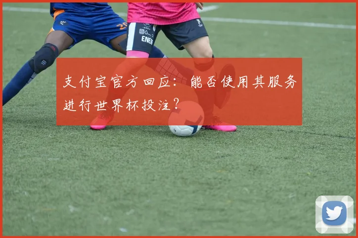 支付宝官方回应:能否使用其服务进行世界杯投注?