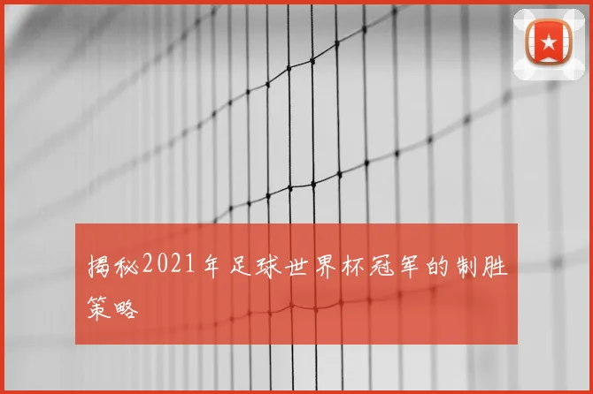 揭秘2021年足球世界杯冠军的制胜策略